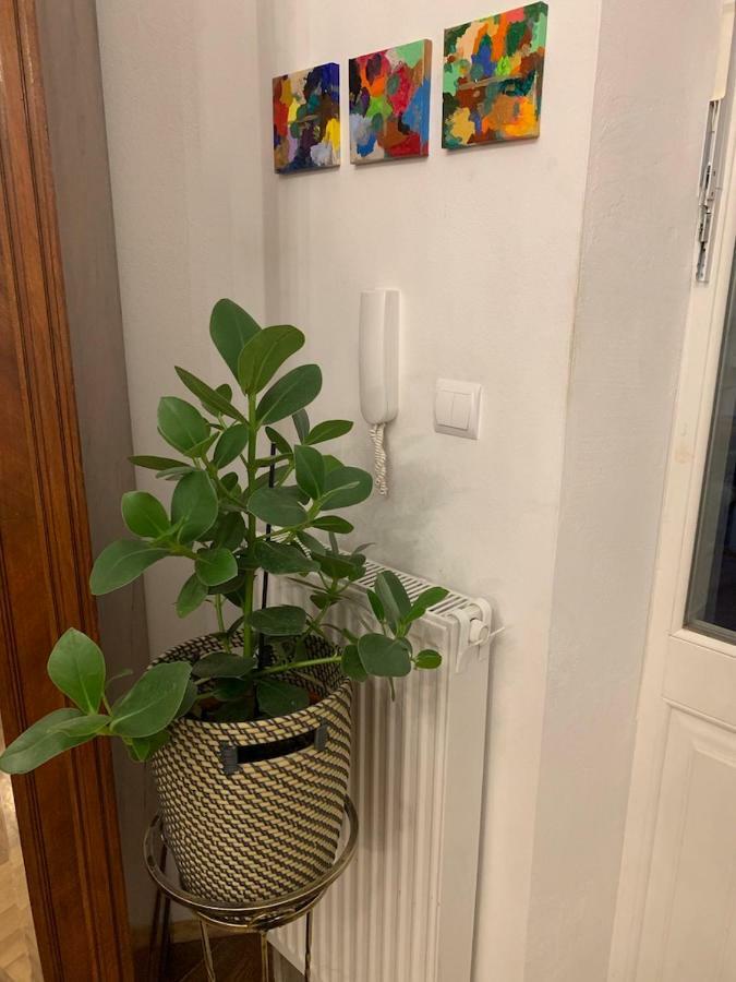 Charming Studio Apartment In The Heart Of The Jewish District! كراكوفيا المظهر الخارجي الصورة